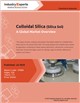 Market Research - Colloidal Silica (Silica Sol) - A Global Market Overview