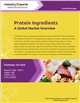 Market Research - Protein Ingredients - A Global Market Overview