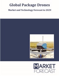 Global Package Drones - Market and Technology Forecast to 2029