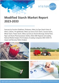 Modified Starch Market Report 2023-2033