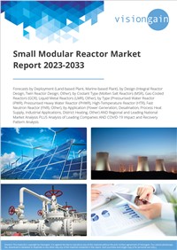 Small Modular Reactor Market Report 2023-2033