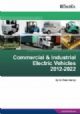 Industrial and Commercial Electric Vehicles 2012-2022