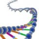 Epigenetics Technology Market (Epigenomics, DNA Methylation, Histone Modifications, RNA Interference, Cancer Therapeutics, Personalized Medicine) (2012 - 2017)
