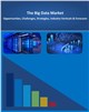 The Private LTE Network Ecosystem: 2016 - 2030