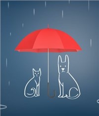 Pet Insurance Market - Global Outlook and Forecast 2020-2025