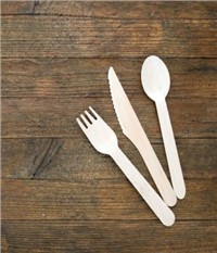 Foodservice Disposables Market - Global Outlook and Forecast 2020-2025