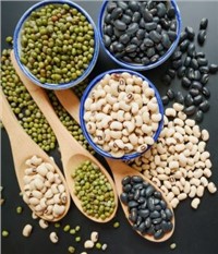 Plant-based Protein Market - Global Outlook and Forecast 2020-2025