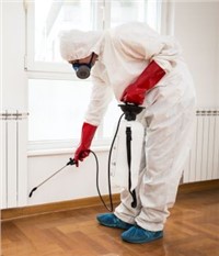 Pest Control Services Market - Global Outlook and Forecast 2020-2025