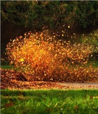 Leaf Blowers Market - Global Outlook and Forecast 2019-2024