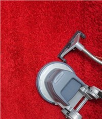 Carpet Cleaner Market - Global Outlook and Forecast 2019-2024