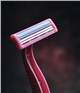 Market Research - Women's Razor Market - Global Outlook and Forecast 2019-2024