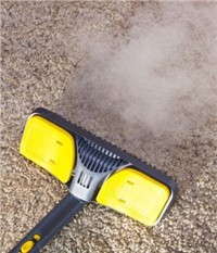 Steam Cleaners Market - Global Outlook and Forecast 2019-2024