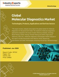 Global Molecular Diagnostics Market - Technologies, Products, Applications and End-Use Sectors