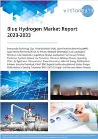 Blue Hydrogen Market Report 2023-2033