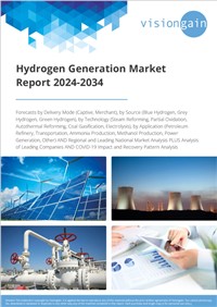 Hydrogen Generation Market Report 2024-2034