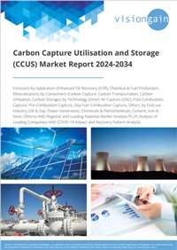 Carbon Capture Utilisationn and Storage (CCUS) Market Report 2024-2034