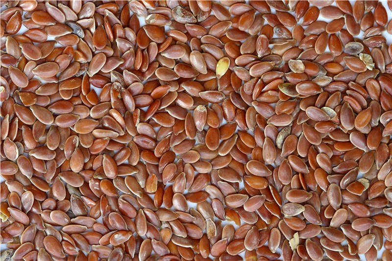 Biological Seed Treatment Market worth 1,251.4 Mn USD by 2022