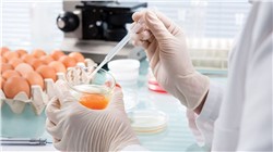 Impact of COVID-19 on Food Safety Testing Market worth $12.3 billion by 2021