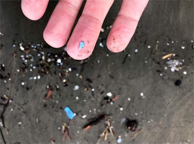 For the First Time, Researchers Find Microplastics Deep in the Lungs of Living People