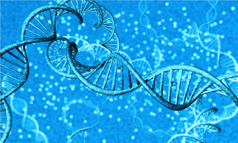 The Global Nucleic Acid Therapeutics Cdmo Market is Estimated to Reach $14.19 Billion in 2033
