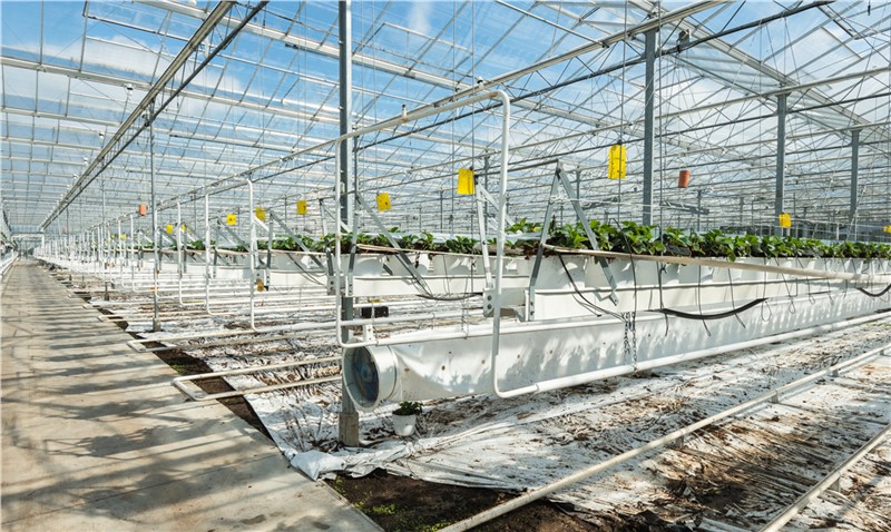 Micro-irrigation Systems Market is Projected to Reach a CAGR of 9.4%